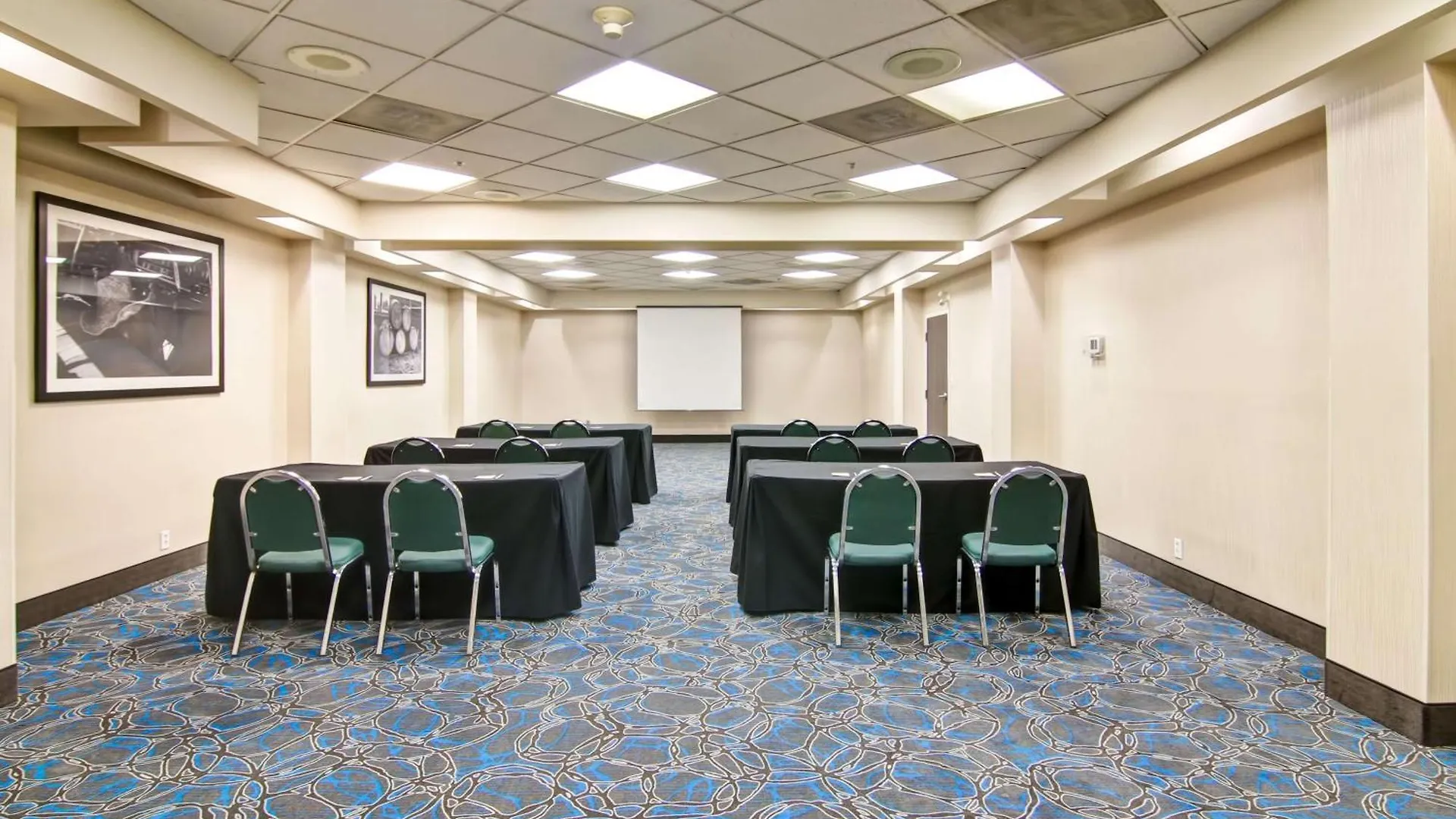 Hampton Inn & Suites By Hilton Calgary-Airport Hotel Calgary